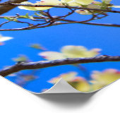 poster van hondenhout (Hoek)