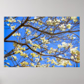 poster van hondenhout (Voorkant)