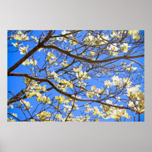 poster van hondenhout