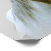 Poster van Horse Buddies (Hoek)