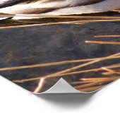 Poster van hout Duck (Hoek)