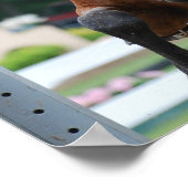 Poster van Hunter Horse Show (Hoek)