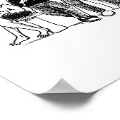 poster van iLive-muzikant (Hoek)