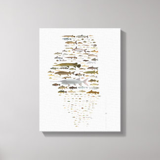 Poster van Illinois Canvas Afdruk