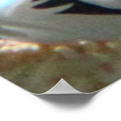 Poster van inktvis (Hoek)