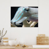 Poster van inktvis (Keuken)