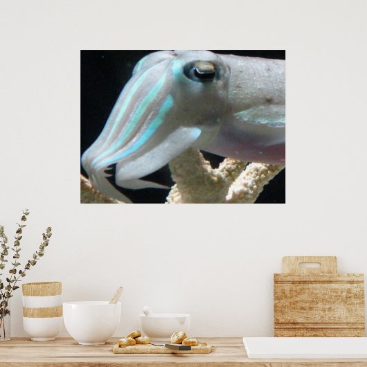 Poster van inktvis (Keuken)