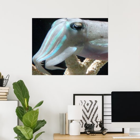 Poster van inktvis (Thuiskantoor)