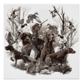 Poster van jachthonden (GSP) (GWP) (Voorkant)