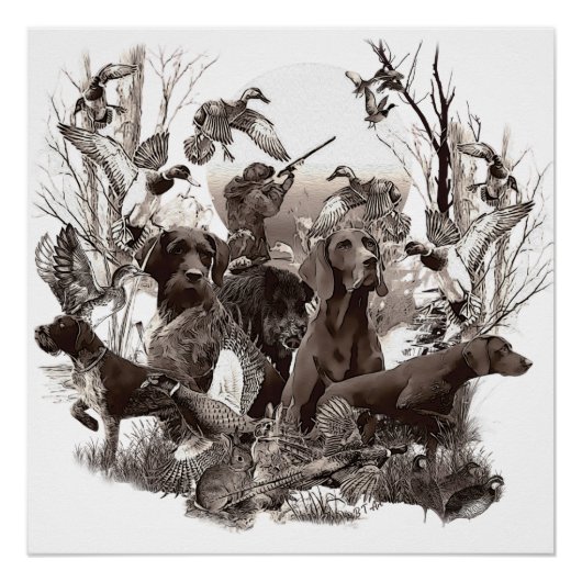 Poster van jachthonden (GSP) (GWP) (Voorkant)