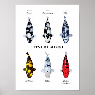 Poster van Japanse Koi-vis soort: Utsurimono