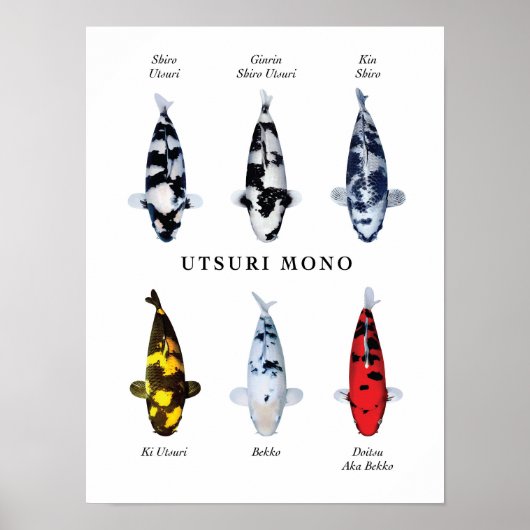 Poster van Japanse Koi-vis soort: Utsurimono (Voorkant)