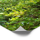 Poster van Japanse tuin (Hoek)