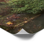 Poster van Japanse tuin (Hoek)