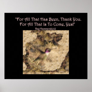 Poster van kalkoenen ... Dank u en ja!