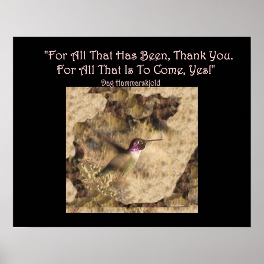 Poster van kalkoenen ... Dank u en ja! (Voorkant)