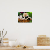 Poster van katten en honden (Keuken)