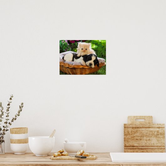 Poster van katten en honden (Keuken)