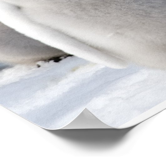 Poster van keiwitten (Hoek)