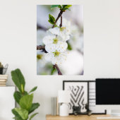 Poster van kersen met bloesems/canvas (Thuiskantoor)
