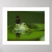 Poster van kikker en vlinder (Voorkant)