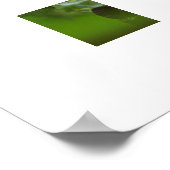 Poster van kikker en vlinder (Hoek)