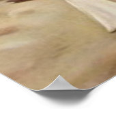 Poster van kleine jongen, collie en blauwvogels (Hoek)