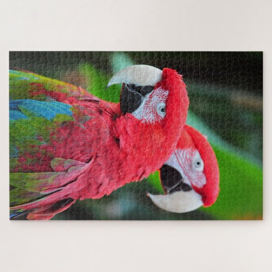 Poster van kleurrijke ara's legpuzzel (Horizontaal)