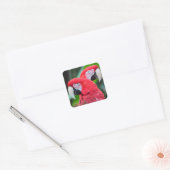 Poster van kleurrijke ara's vierkante sticker (Envelop)