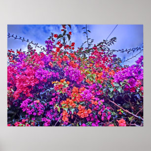 Poster van kleurrijke bloemen