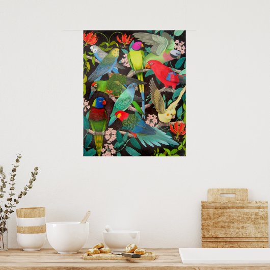 Poster van kleurrijke parrots en Parakeets (Keuken)