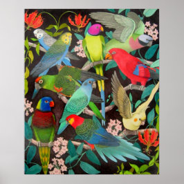 Poster van kleurrijke parrots en Parakeets