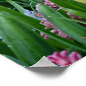 Poster van kleurrijke veer (Hoek)