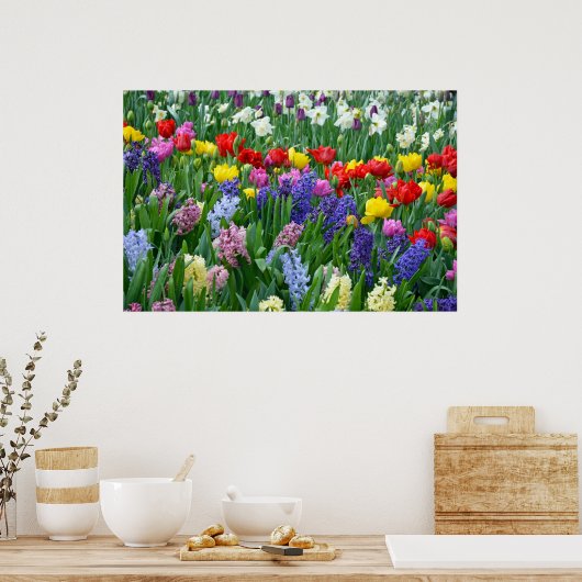 Poster van kleurrijke veer (Keuken)