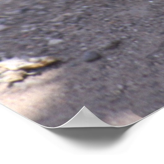 Poster van knuppels - uitbreiding (Hoek)