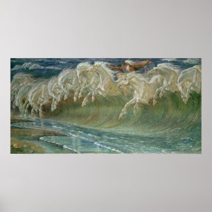 Poster van koningsneushoorns