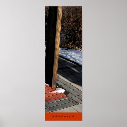 Poster van koraal en ijzerwatten (Voorkant)