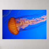 Poster van kwal 1 (Voorkant)