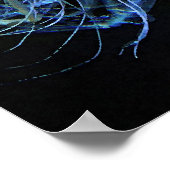 Poster van kwallen (Hoek)