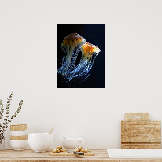 Poster van kwallen (Keuken)