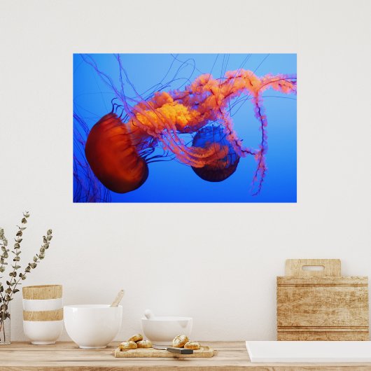 Poster van kwallen (Keuken)