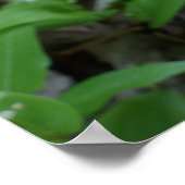 Poster van Lady slipper (Hoek)