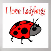 Poster van Ladybugs (Voorkant)