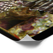 Poster van langoest (Hoek)