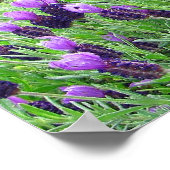 Poster van Lavender 26 inch w x 8 inch h (Hoek)