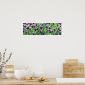 Poster van Lavender 26 inch w x 8 inch h (Keuken)