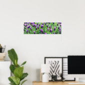 Poster van Lavender 26 inch w x 8 inch h (Thuiskantoor)