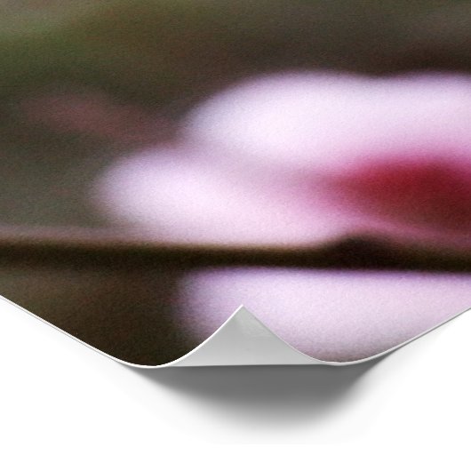 Poster van lente-bloesems (Hoek)