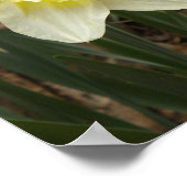 Poster van lente-dedils (Hoek)