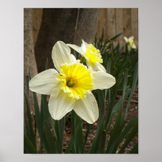 Poster van lente-dedils (Voorkant)